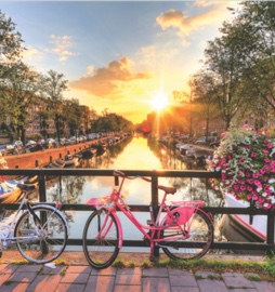 The Netherlands